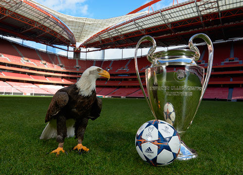 克莱：尊重康利和加索尔时期的灰熊，现在这支灰熊只会耍嘴皮子